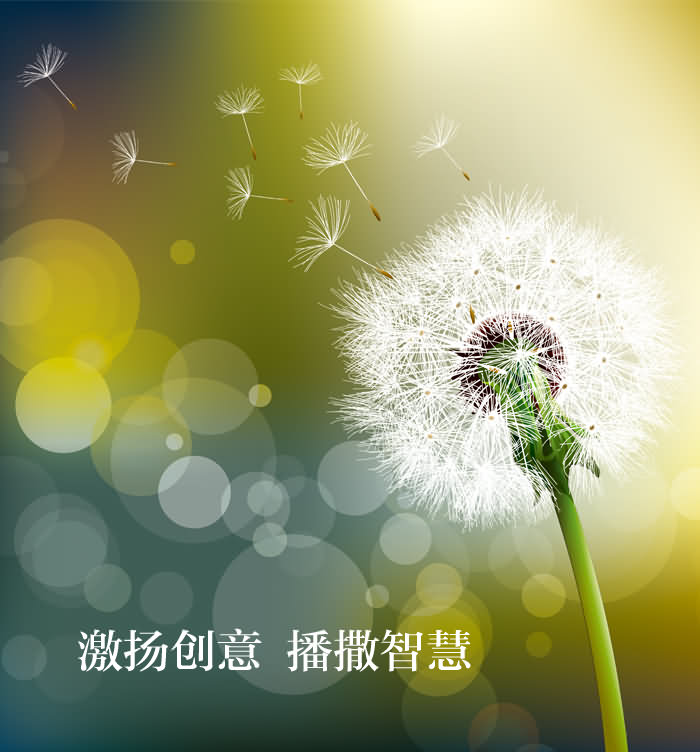 大印象智造企业形象篇——蒲公英