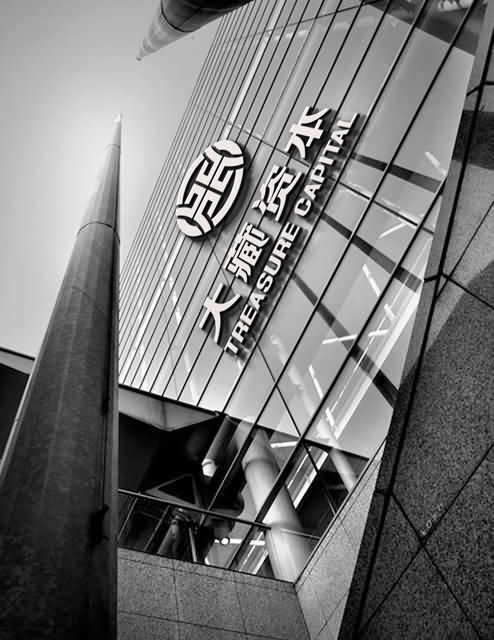 新疆大藏资产管理股份有限公司